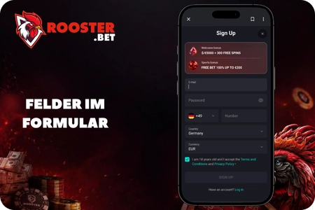 Felder im RoosterBet Formular ausfüllen